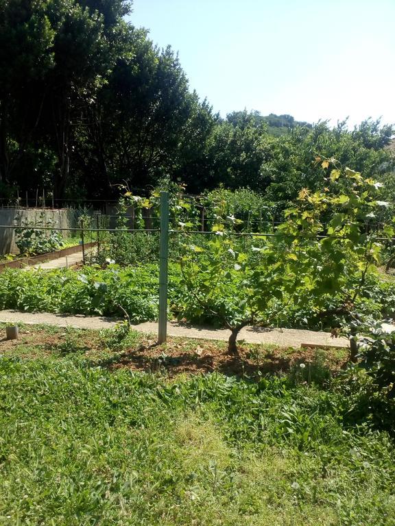 Jedro Apartmani Herceg Novi Luaran gambar